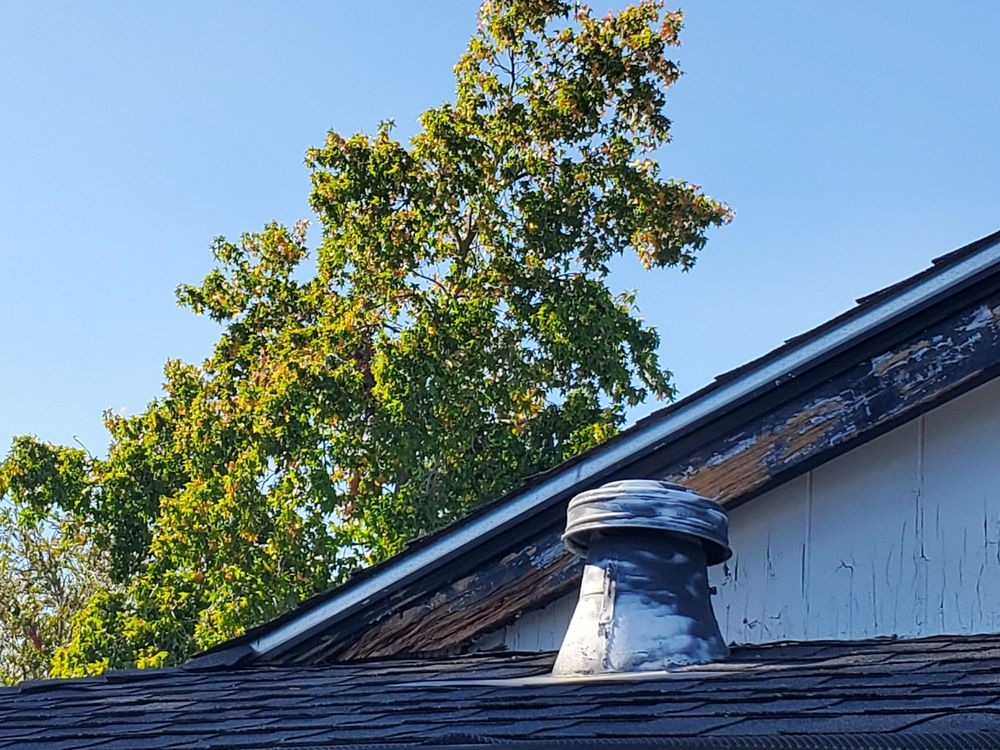 NORCAL TREE SERVICES Updated April 2024 50 Photos Vacaville