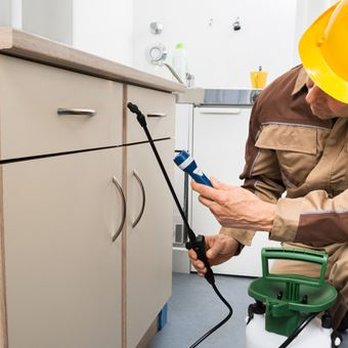 Killer For Hire - Pest Control Near Me - Bossier City, Louisiana Killer For Hire - Pest Control Near Me - Bossier City, Louisiana