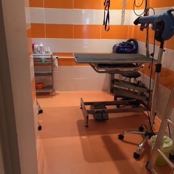 Dog City - Pet Groomers Near Me - Lyon, 69