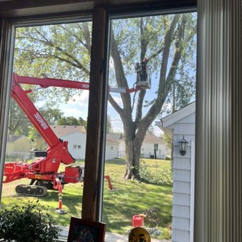 Carstens Properties - Our equipment is light on its feet and designed to get through spaces as small as 44 inches wide! - Tree Services Near Me
