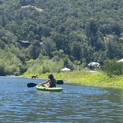 River's Edge Kayak and Canoe - Deer crossing the river