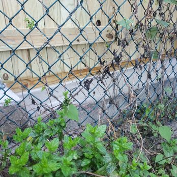 Ergeon - 4" gap - Fences & Gates Near Me - Baltimore, Maryland