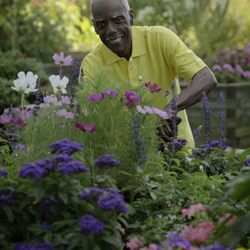 Goodwin Living - Every garden is a creative outlet. Leave your mark!