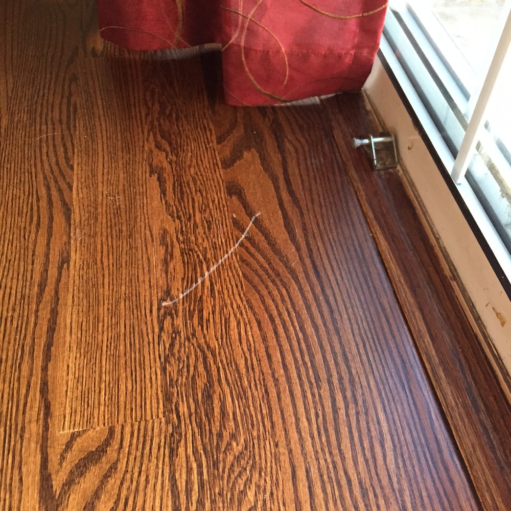 The Carpet Center - a wood floor and a window - Carpeting Near Me - Campbell, California The Carpet Center - a wood floor and a window - Carpeting Near Me - Campbell, California
