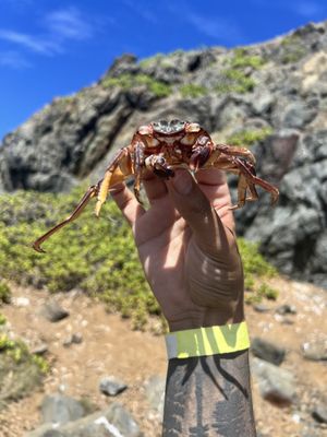 Kailua Beach Adventures by null