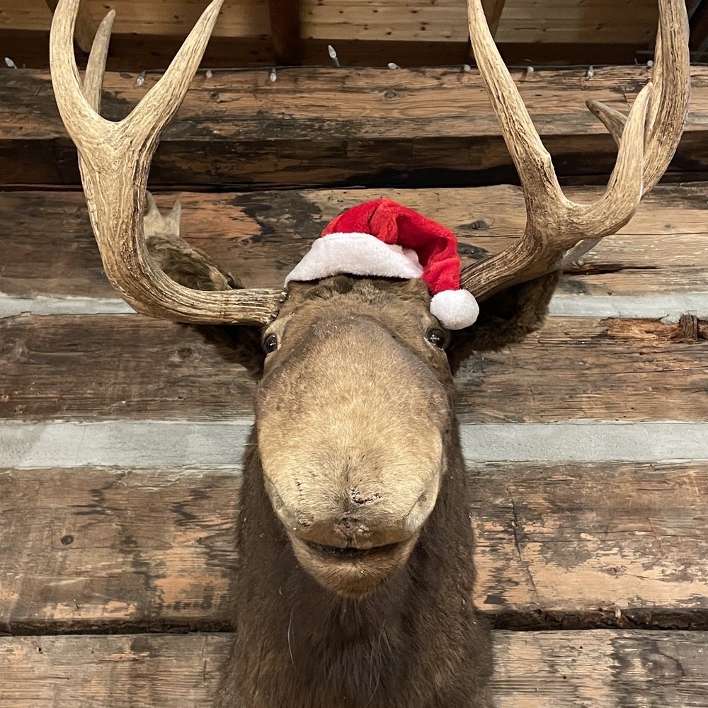 Kirk's Ferry Trading Post - a moose with a santa hat - Barbeque Near Me - Brownsville, Oregon