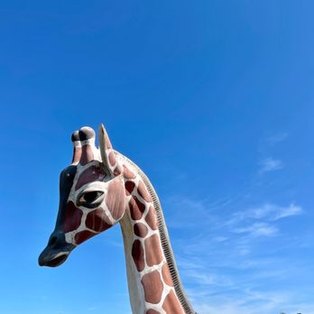 Cox Farms - Attraction Farms Near Me - Centreville, Virginia