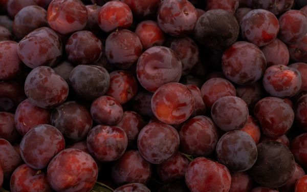 LA Rivers Farmers' Market by null