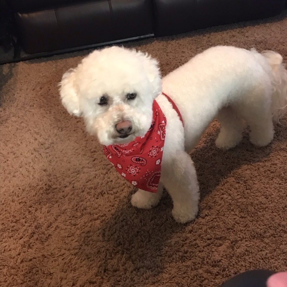 Max looking spiffy