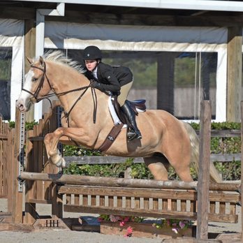 Arrow A Farms - Horseback Riding Near Me - Conroe, Texas Arrow A Farms - Horseback Riding Near Me - Conroe, Texas
