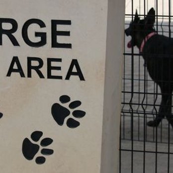 Bush Central Barkway - Large Dog Area. Photo by Happy Tails Pet Pal, LLC. - Dog Parks Near Me - Richardson, Texas