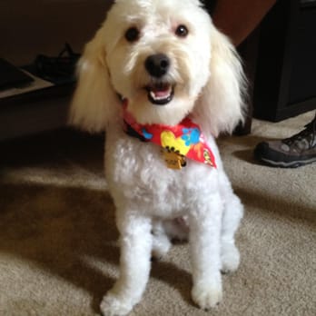 bonnie's pampered pets