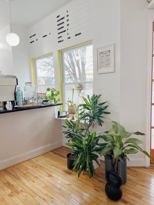 Mea Culpa Cafe by null