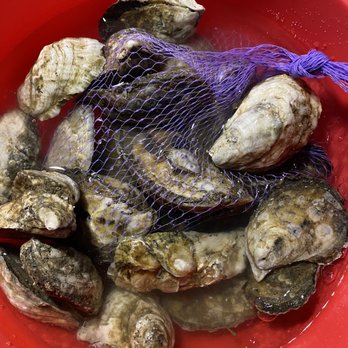 Ocracoke Fish & Seafood Company - Oysters! - Seafood Markets Near Me - Ocracoke, North Carolina Ocracoke Fish & Seafood Company - Oysters! - Seafood Markets Near Me - Ocracoke, North Carolina