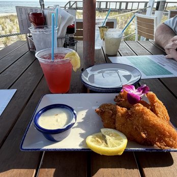 Coastal Orange Beach - Coconut Grouper Appetizer - Seafood Near Me - Orange Beach, Alabama Coastal Orange Beach - Coconut Grouper Appetizer - Seafood Near Me - Orange Beach, Alabama