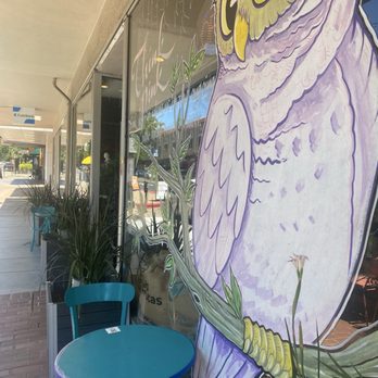 Pink Owl Coffee - Owl on watch near entrance. - Coffee & Tea Near Me - San Rafael, California