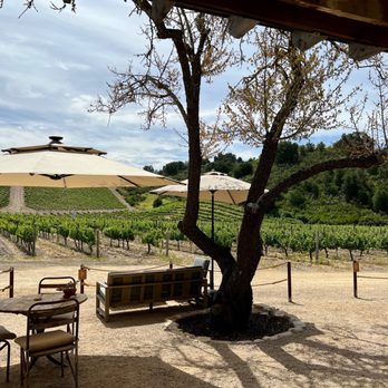 Clos Solène Winery - Beautiful, serene property - Wine Tasting Room Near Me - Paso Robles, California Clos Solène Winery - Beautiful, serene property - Wine Tasting Room Near Me - Paso Robles, California