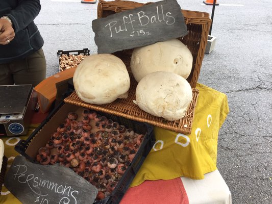 Easton Farmers' Market by null