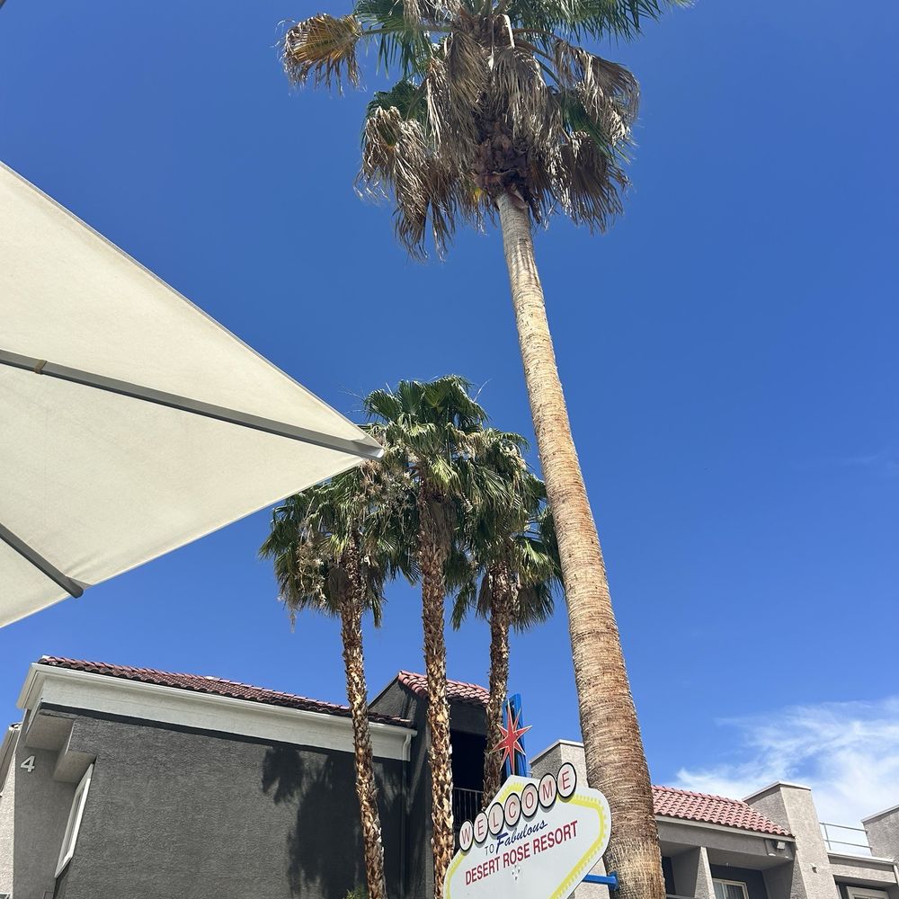 Desert Rose Resort - Hotels Near Me - Las Vegas, Nevada Desert Rose Resort - Hotels Near Me - Las Vegas, Nevada