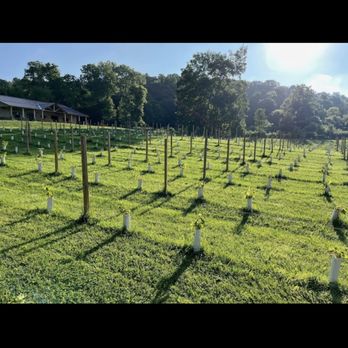 Hickory Vines Winery and Venue - The vineyard! - Venues & Event Spaces Near Me - Mansfield, Ohio Hickory Vines Winery and Venue - The vineyard! - Venues & Event Spaces Near Me - Mansfield, Ohio