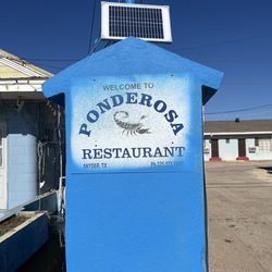 Ponderosa