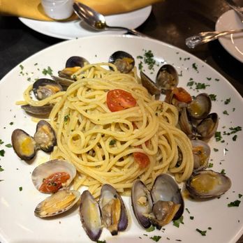 Bocconcino - Vongole perfecto de sabor y textura - Italian Near Me - San Francisco, California Bocconcino - Vongole perfecto de sabor y textura - Italian Near Me - San Francisco, California