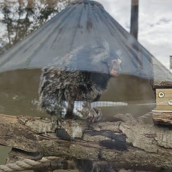 Pine Mountain Wild Animal Park - Amusement Parks Near Me - Pine Mountain, Georgia