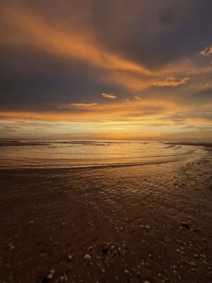 JW Marriott Marco Island Beach Resort by null