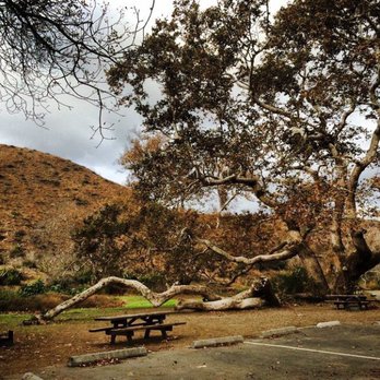 Point Mugu State Park - Point Magu State Campground. Stunning old growth Sycamores. - Parks Near Me - Malibu, California Point Mugu State Park - Point Magu State Campground. Stunning old growth Sycamores. - Parks Near Me - Malibu, California