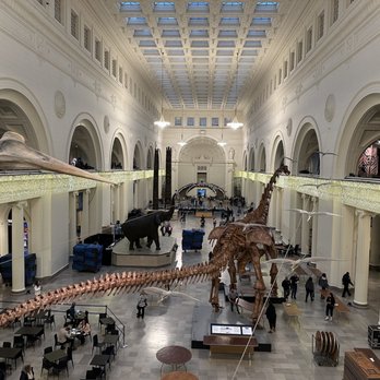Field Museum - Bottom level - Museums Near Me - Chicago, Illinois Field Museum - Bottom level - Museums Near Me - Chicago, Illinois