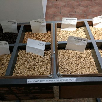 Beer Museum - Verschiedene Malzsorten - Museums Near Me - Prague, Puerto Rico