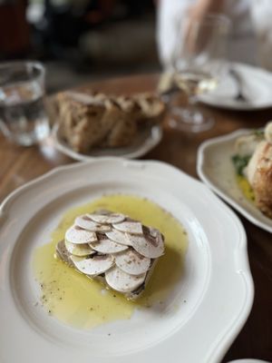 Le Crocodile by null