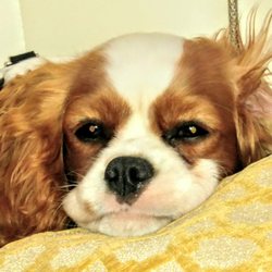SO adorable!
