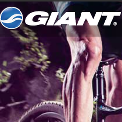 Blue Run Bicycles & Paddle
