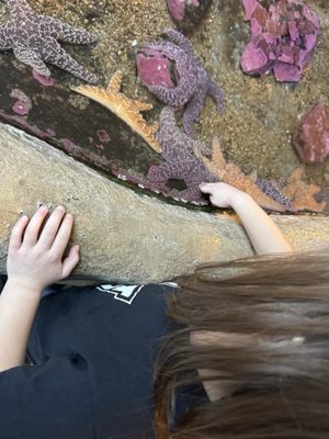 Hatfield Marine Science Center Oregon State University by null