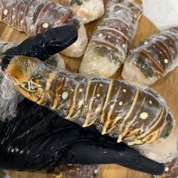 OUR 8 OUNCE WARM WATER LOBSTER TAIL