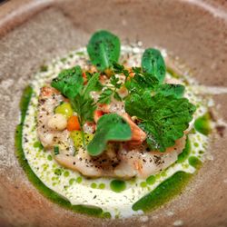 Canoe - Scallop crudo in a veloute with aonori, apple and hazelnut