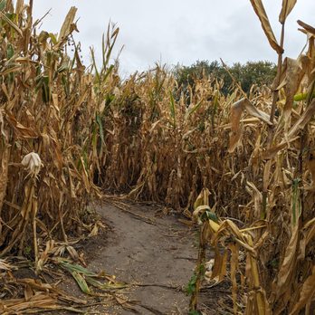 Vala's Pumpkin Patch - Corn maze - Venues & Event Spaces Near Me - Gretna, Nebraska