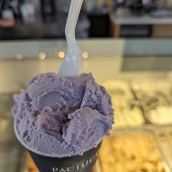 Paciugo Gelato Caffè - Taro Root - Gelato Near Me - San Antonio, Texas Paciugo Gelato Caffè - Taro Root - Gelato Near Me - San Antonio, Texas