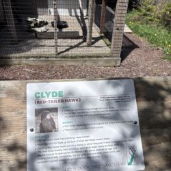 Open Door Bird Sanctuary