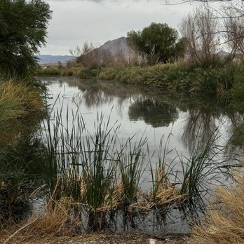 Henderson Bird Viewing Preserve - One of the ponds - Parks Near Me - Henderson, Nevada Henderson Bird Viewing Preserve - One of the ponds - Parks Near Me - Henderson, Nevada
