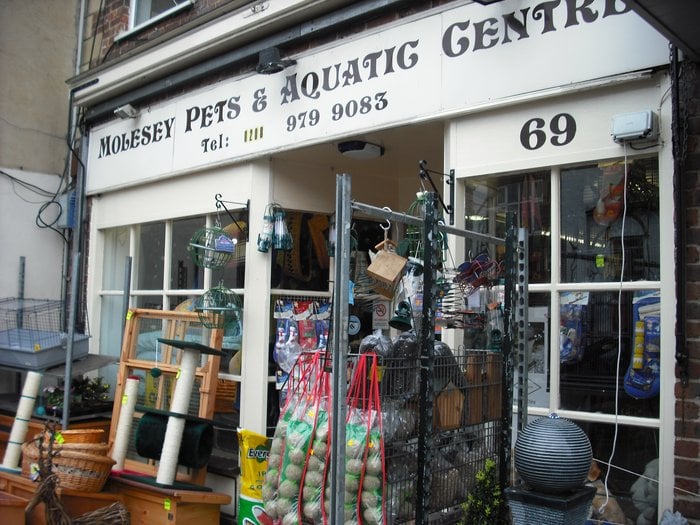 MOLESEY PET & AQUATIC CENTRE Updated September 2024 69 Walton Road