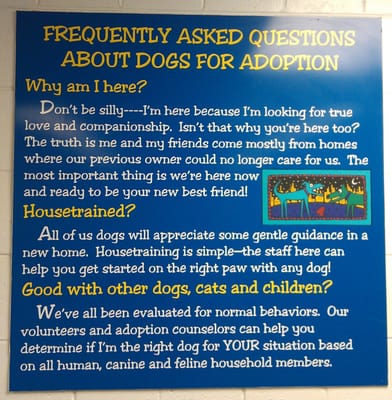 Chicago Animal Care and Control by null