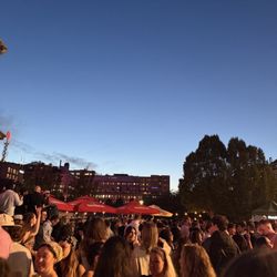 Kungsträdgården