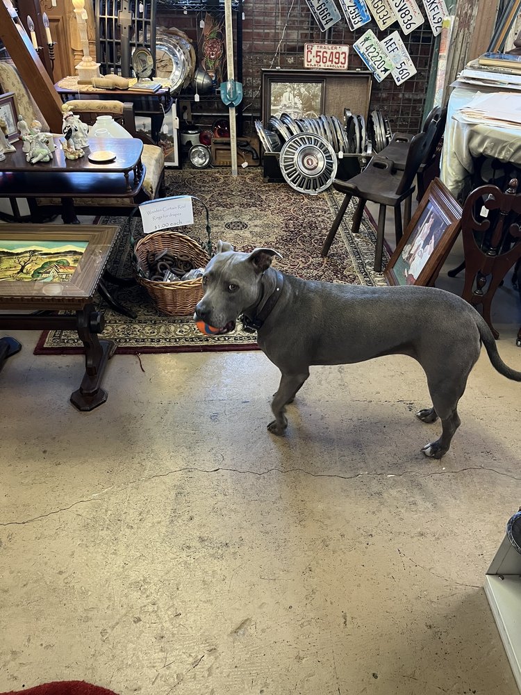 Lodestone Art & Antiques