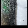 Photo of Red Carpet Home Inspections