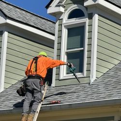 Georgia Home Windows