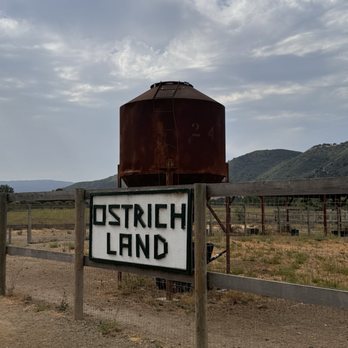 Ostrichland USA - Attraction Farms Near Me - Solvang, California Ostrichland USA - Attraction Farms Near Me - Solvang, California