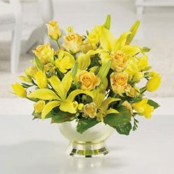 Draper Flower Pros - Untitled
