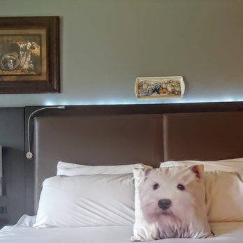 Prospector Hotel & Gambling Hall - Dog-themed art in the room. - Hotels Near Me - Ely, Nevada